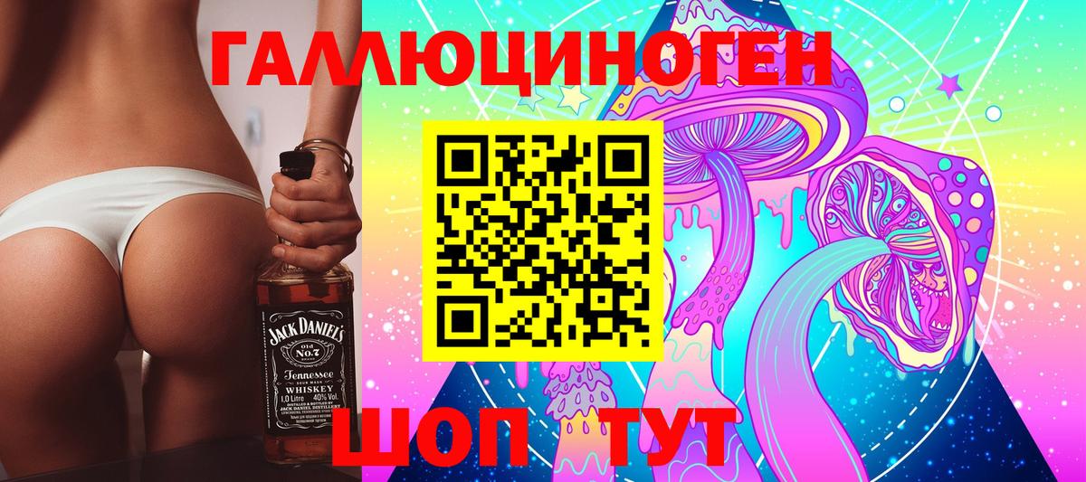 Гатчина  Псилоцибиновые грибы прущие грибы  Вход с VPN 
